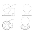 RAM-D-254U:RAM-D-254U_1:RAM® Round AMPS Plate with Ball