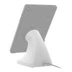 RAM-GDS-DOCK-D10K-C-GRY:RAM-GDS-DOCK-D10K-C-GRY_1:GDS® Uni-Conn™ Powered Kiosk Dock with USB-C - Gray