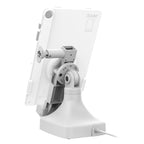 RAM-GDS-DOCKL-D14-U4C-GRY:RAM-GDS-DOCKL-D14-U4C-GRY_1:GDS® Uni-Conn™ Locking Tilt & Swivel Dock with USB-C - Gray