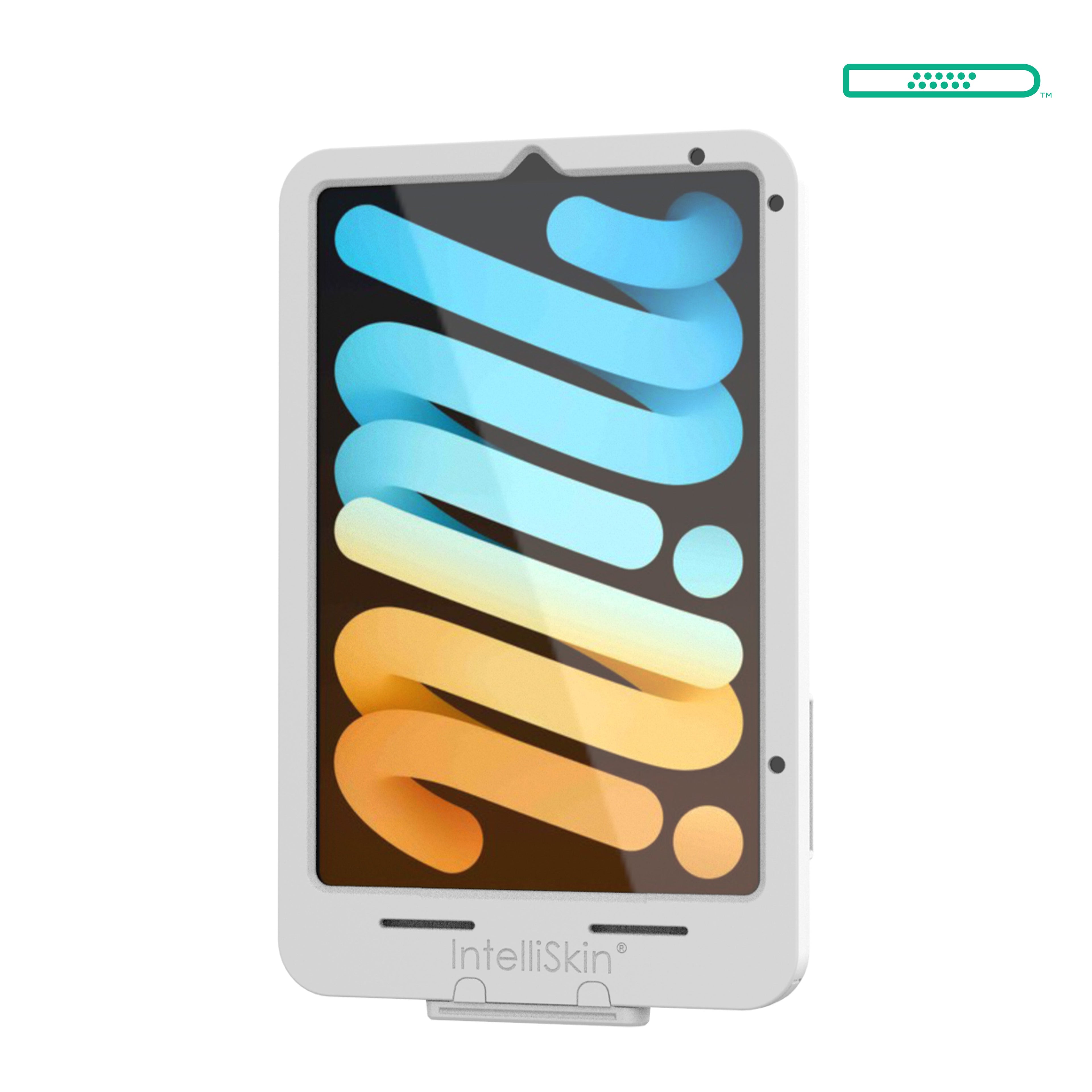 RAM-GDS-SKIN-AP36-TCD-GRY:RAM-GDS-SKIN-AP36-TCD-GRY_1:IntelliSkin® Thin-Case™ for Apple iPad mini (A17 Pro) & mini 6 - Gray